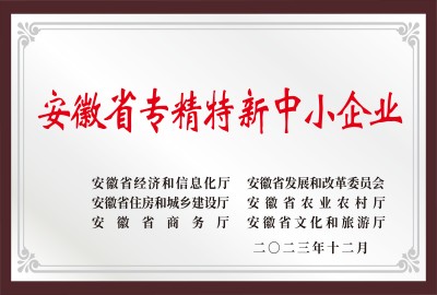 安徽省專(zhuān)精特新中小企業(yè)